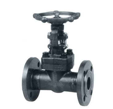 船用鍛鋼法蘭手動閘閥